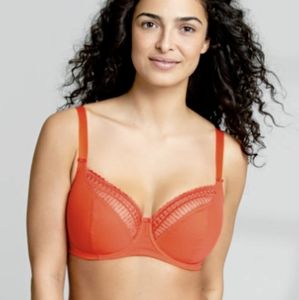 Bravissimo Olivia/Alanna bra 38E
